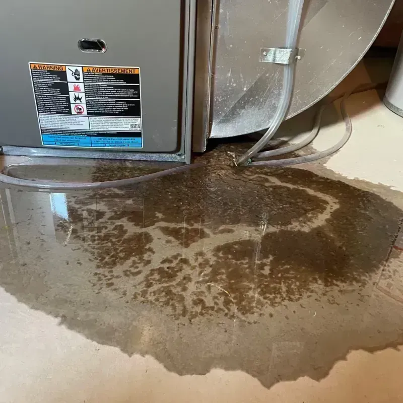 Appliance Leak Cleanup in Meridianville, AL